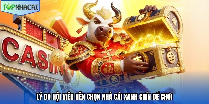 Lý do hội viên nên chọn nhà cái xanh chín để chơi