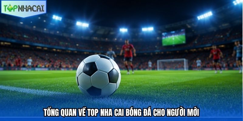 Tổng quan về top nha cai bóng đá cho người mới